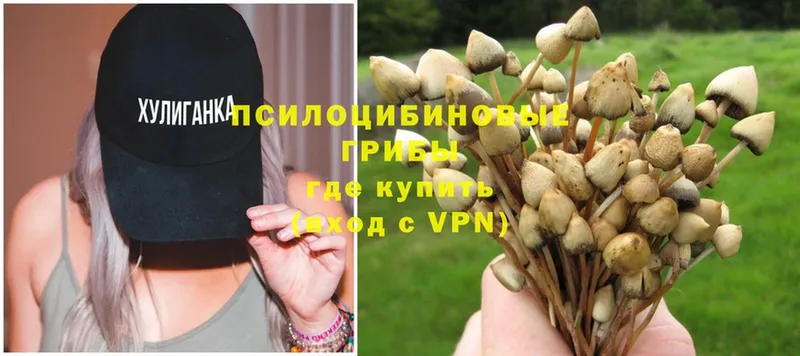 Галлюциногенные грибы Magic Shrooms  Электросталь 